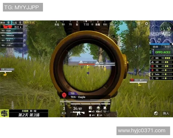 和平精英战术深度解析FPX团队的策略与执行力探讨实时新闻